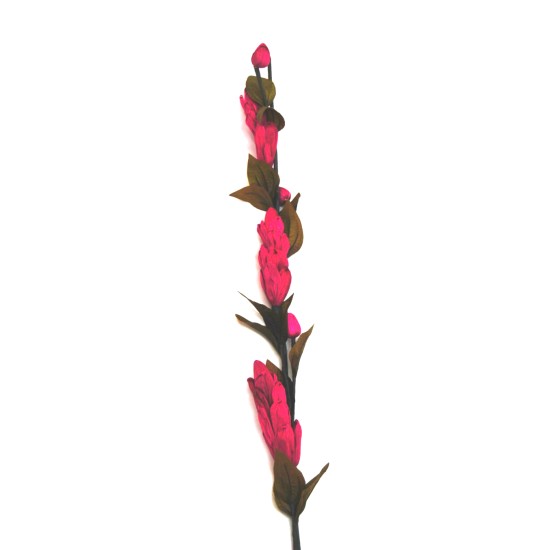 Αποξηραμένο λουλούδι φούξια